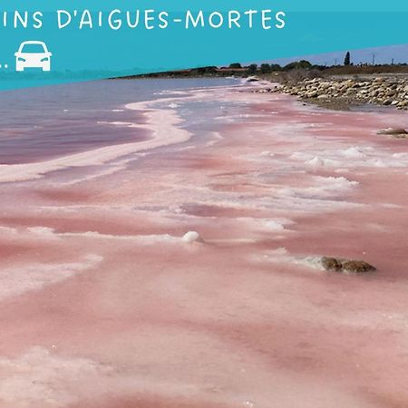 Appartement Le Flamant Rose - Cosykaz à Aigues-Mortes Extérieur photo