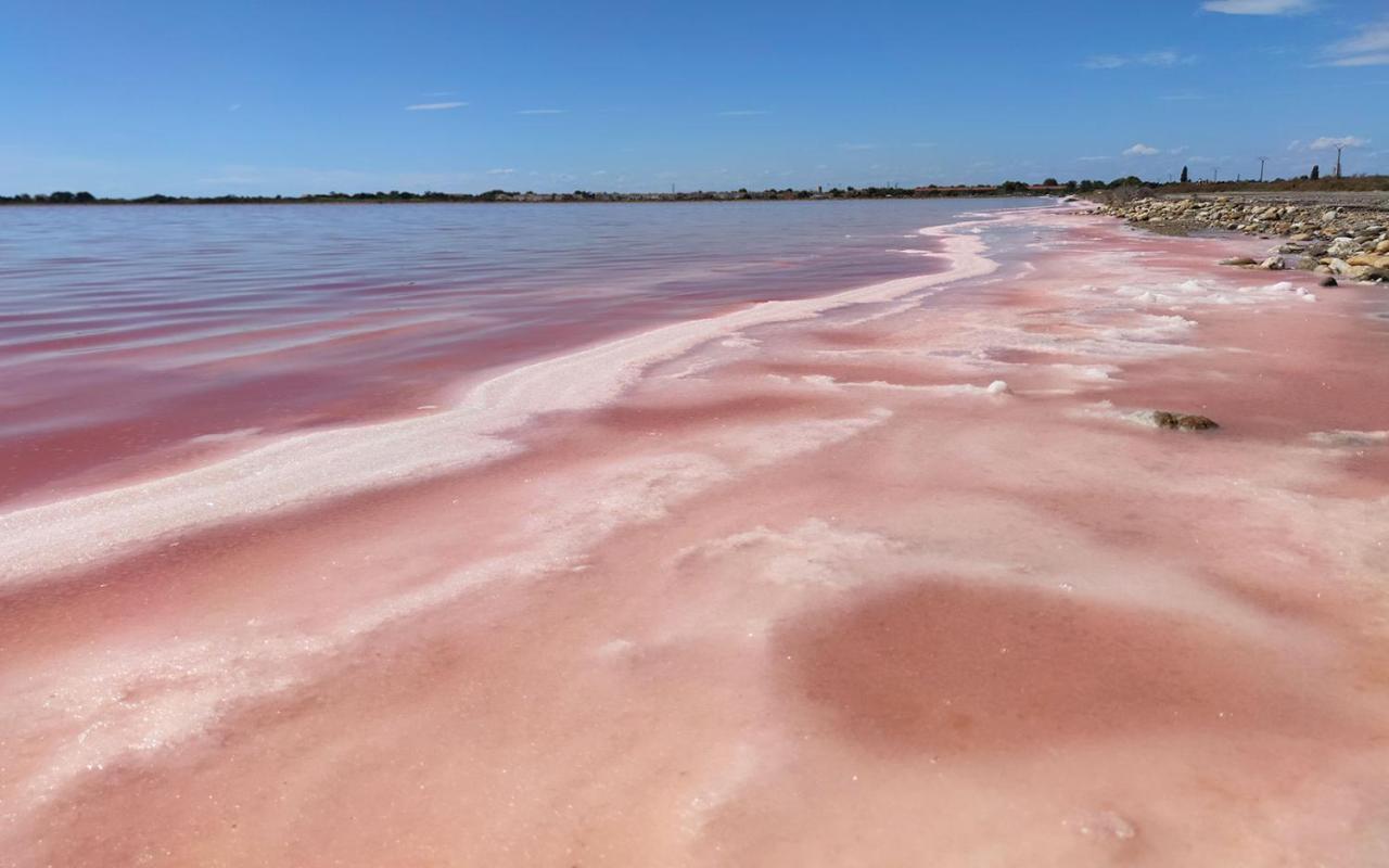 Appartement Le Flamant Rose - Cosykaz à Aigues-Mortes Extérieur photo